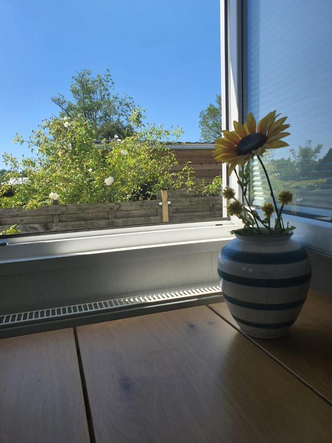 Holidays in Dirkshorn  Buitenkant foto